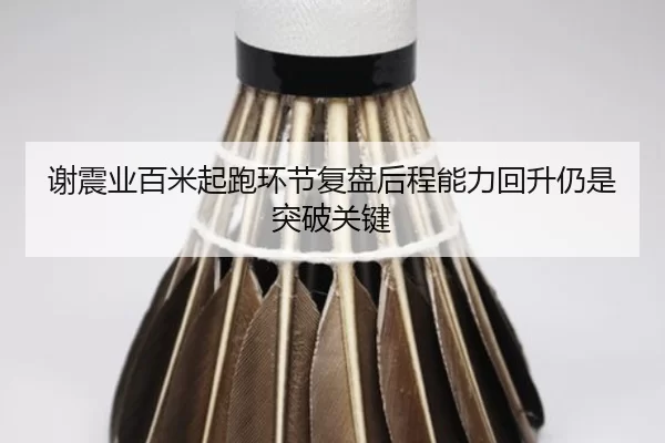 谢震业百米起跑环节复盘后程能力回升仍是突破关键